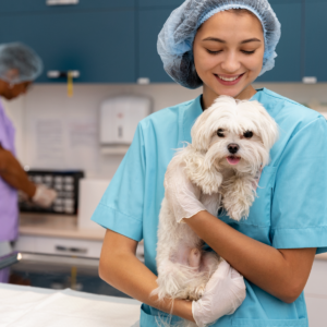 Brigada de esterilización